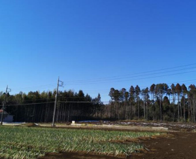 売り土地。千葉市若葉区富田町！ 千葉市若葉区富田町 約3289坪 千葉県千葉市若葉区富田町｜82.23万円の